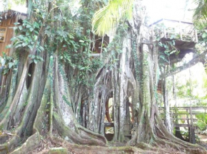 Отель Topos Tree House  Cahuita